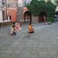 pokaz tańca indonezyjskiego